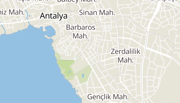 Carte