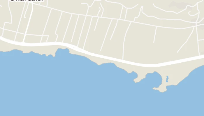 Χάρτης