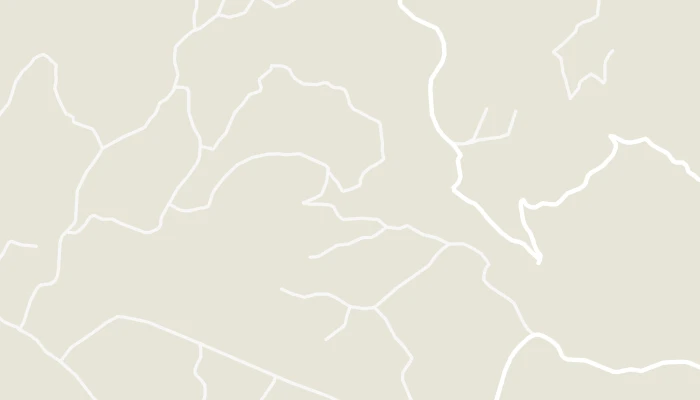 Χάρτης
